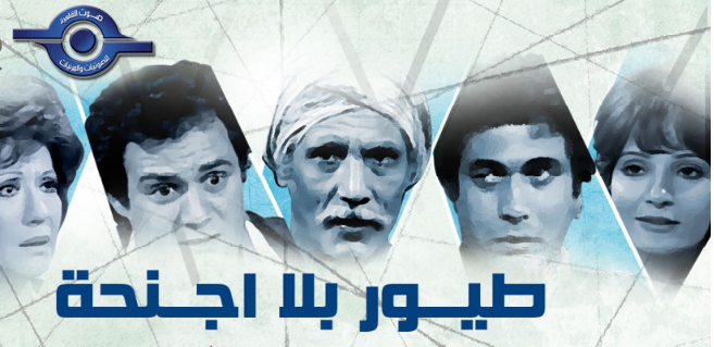 طيور بلا  اجنحة